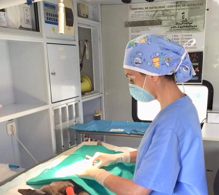 Unser Sterilisationsmobil – ein kleiner Operationssaal